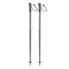 Fischer RC4 The Curv Jr Ski Poles 2021