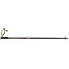 Fischer RC4 The Curv AL Ski Poles 2020