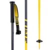 Line Skis Tac Ski Poles 2020